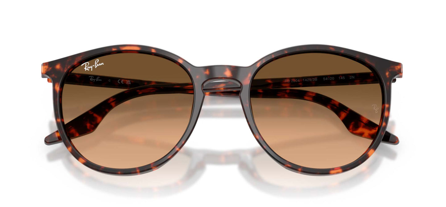 Ray-Ban RB2204