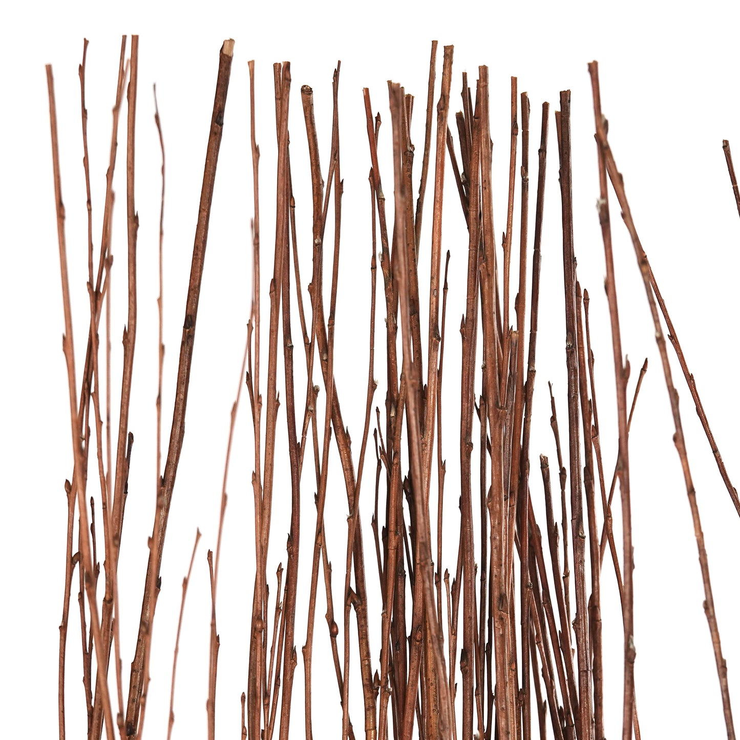 PARAVENT NATURE | braun, 170x120cm(HxB) Weide | Raumtrenner,Trennwand