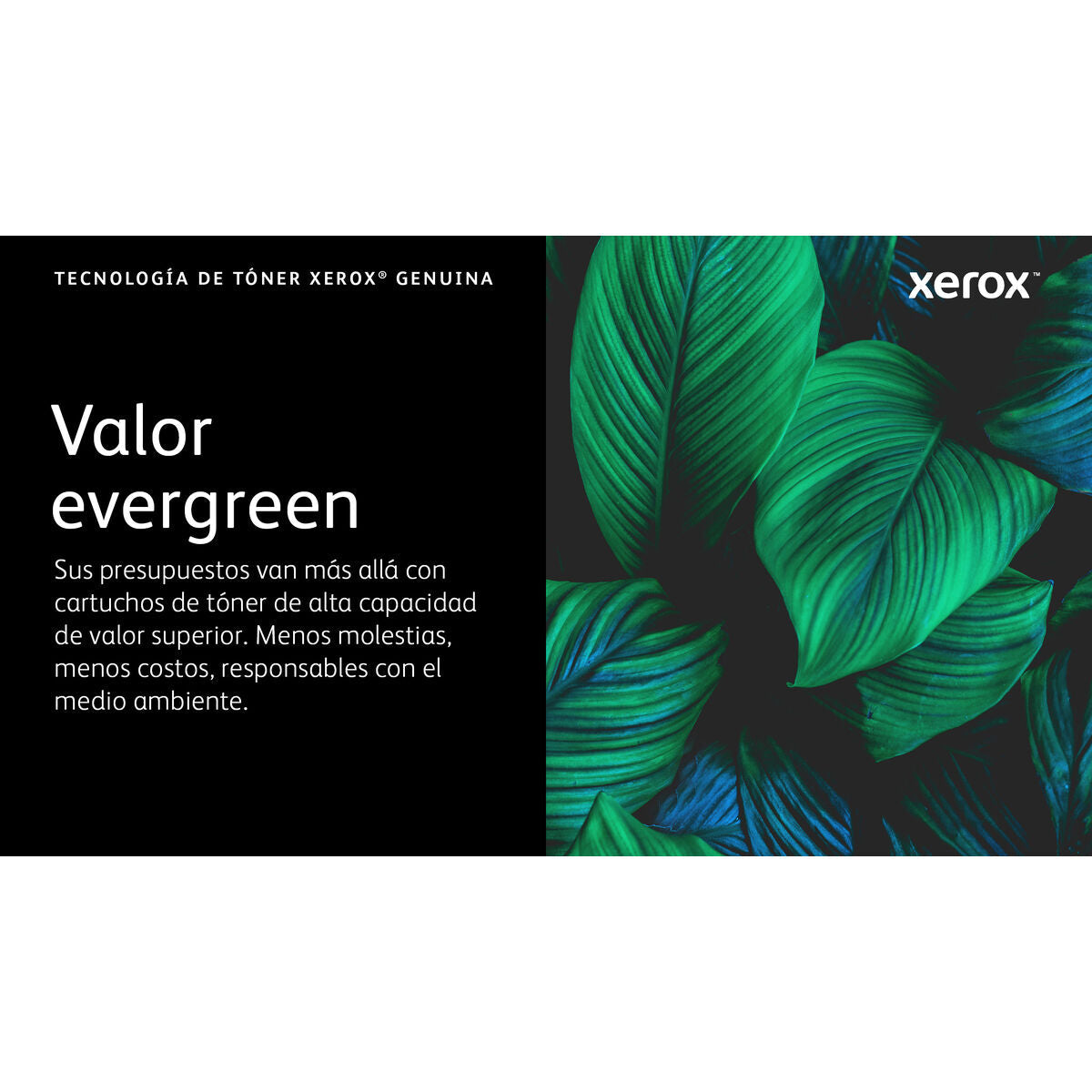 Original Tintenpatrone Xerox 006R04668 Schwarz