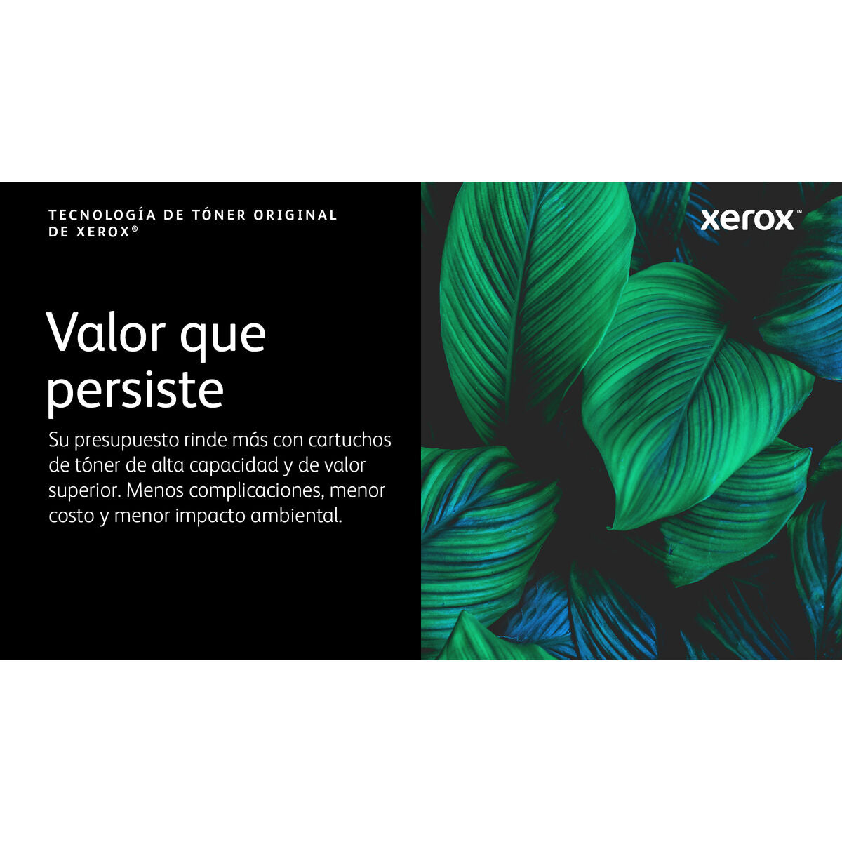 Toner Xerox 006R04365 Türkis (Restauriert A)