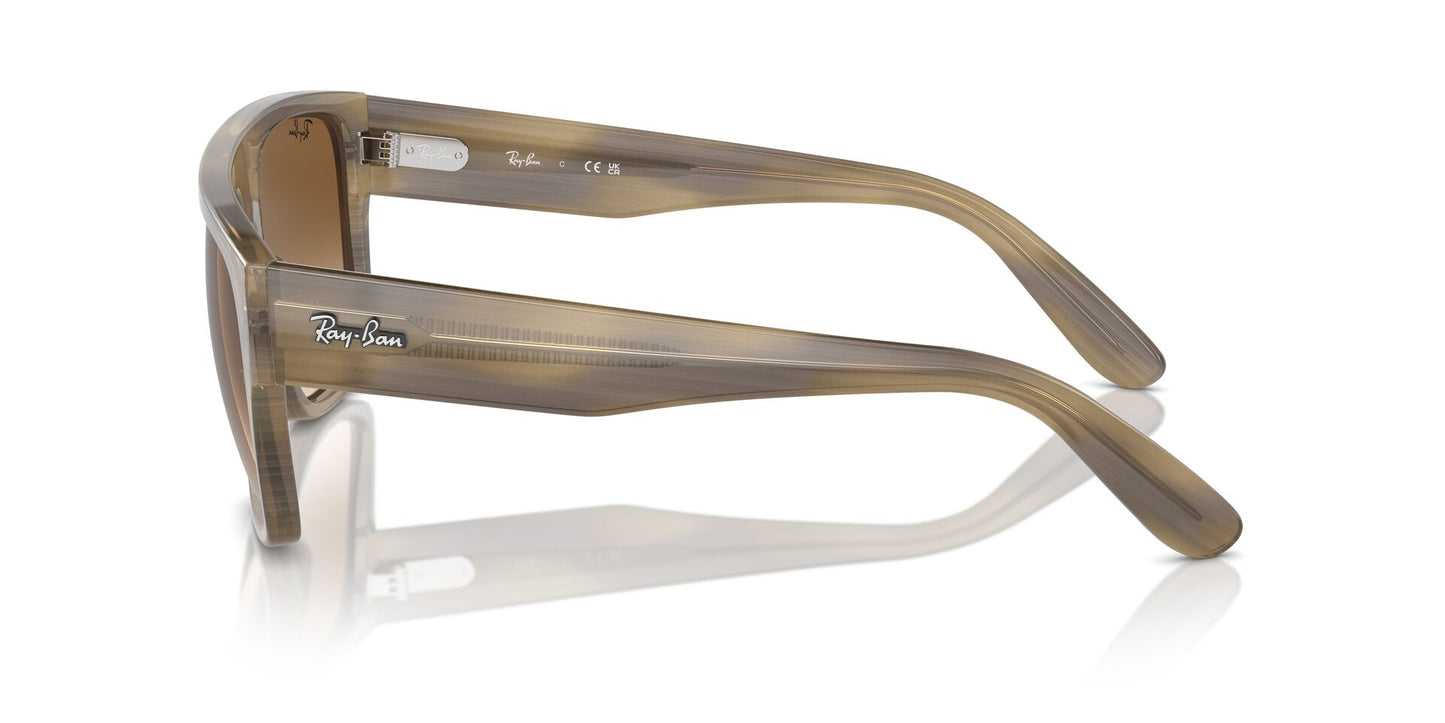 Ray-Ban Drifter RB0360S