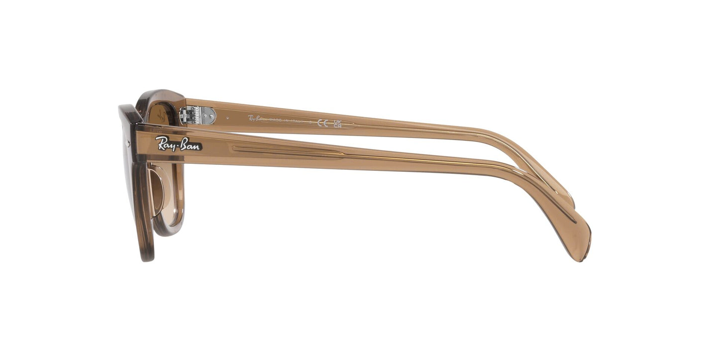 Ray-Ban RB0707S