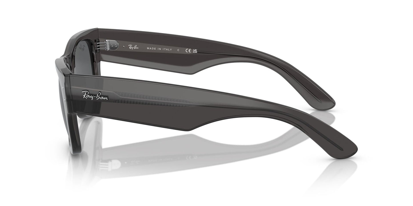Ray-Ban Mega Wayfarer RB0840S