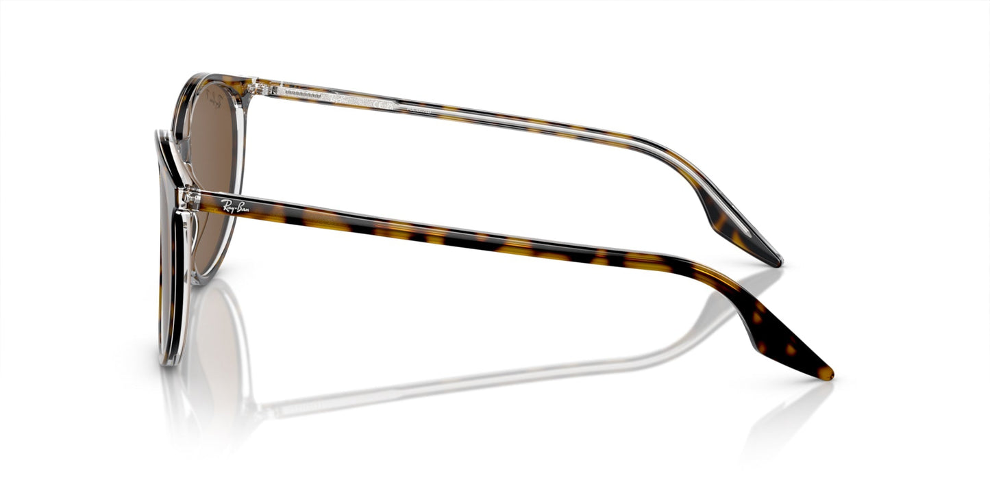 Ray-Ban RB2204