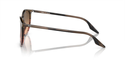 Ray-Ban RB2204