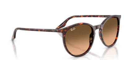 Ray-Ban RB2204
