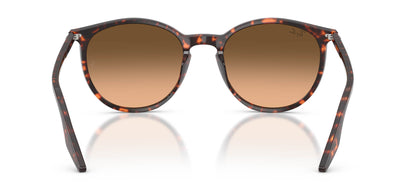 Ray-Ban RB2204