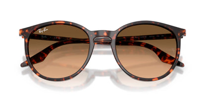 Ray-Ban RB2204