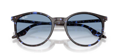 Ray-Ban RB2204