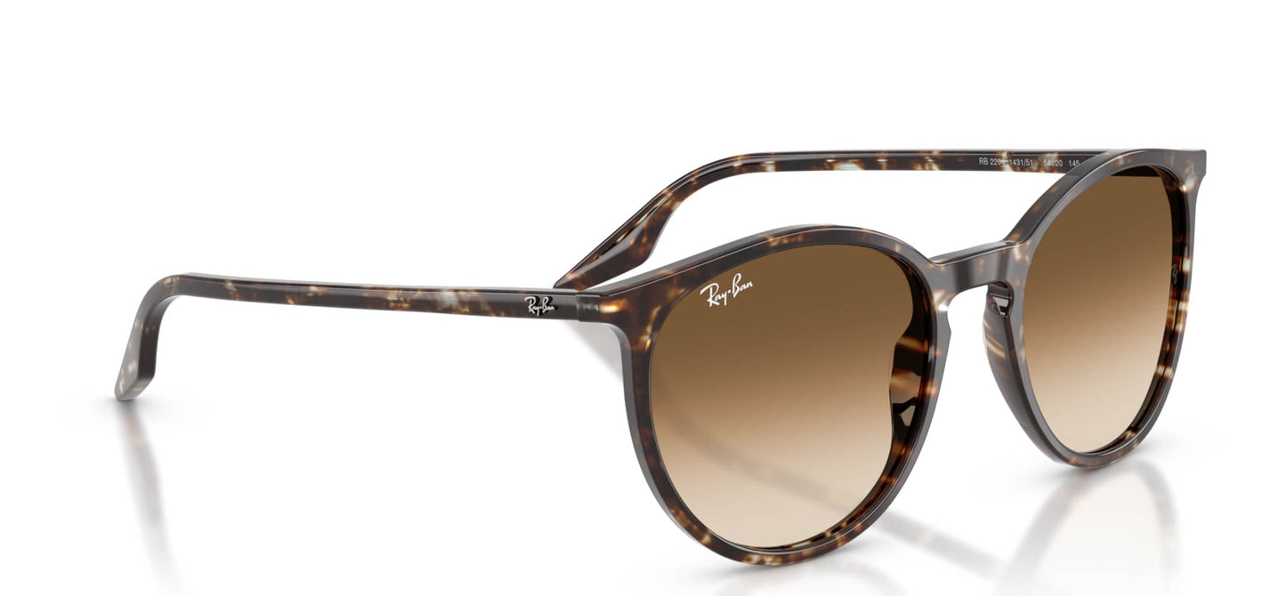 Ray-Ban RB2204