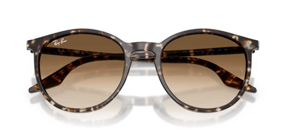 Ray-Ban RB2204