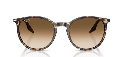 Ray-Ban RB2204