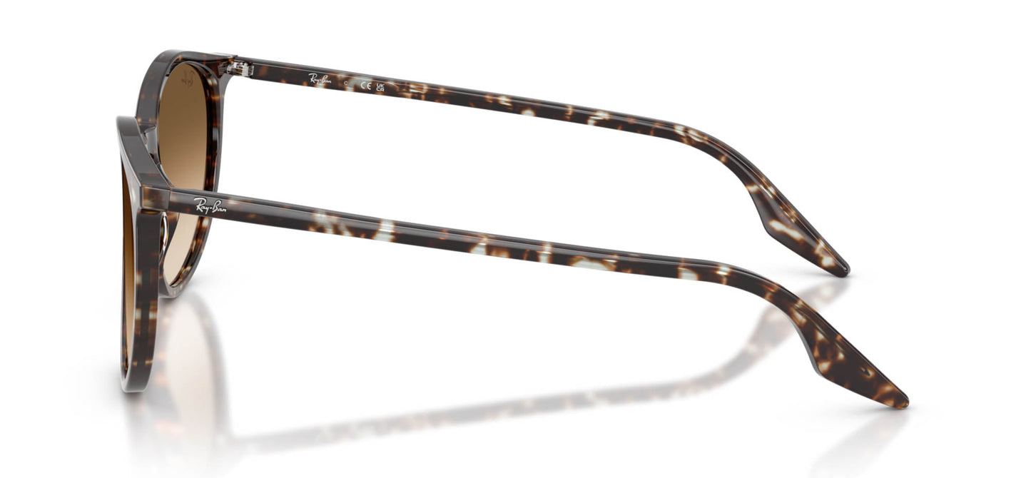Ray-Ban RB2204