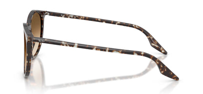 Ray-Ban RB2204