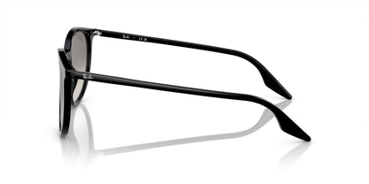 Ray-Ban RB2204