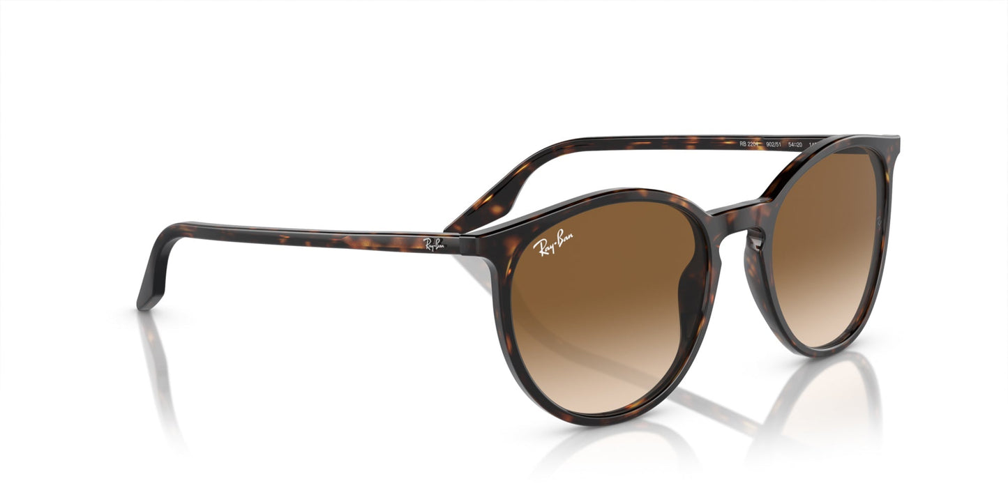 Ray-Ban RB2204