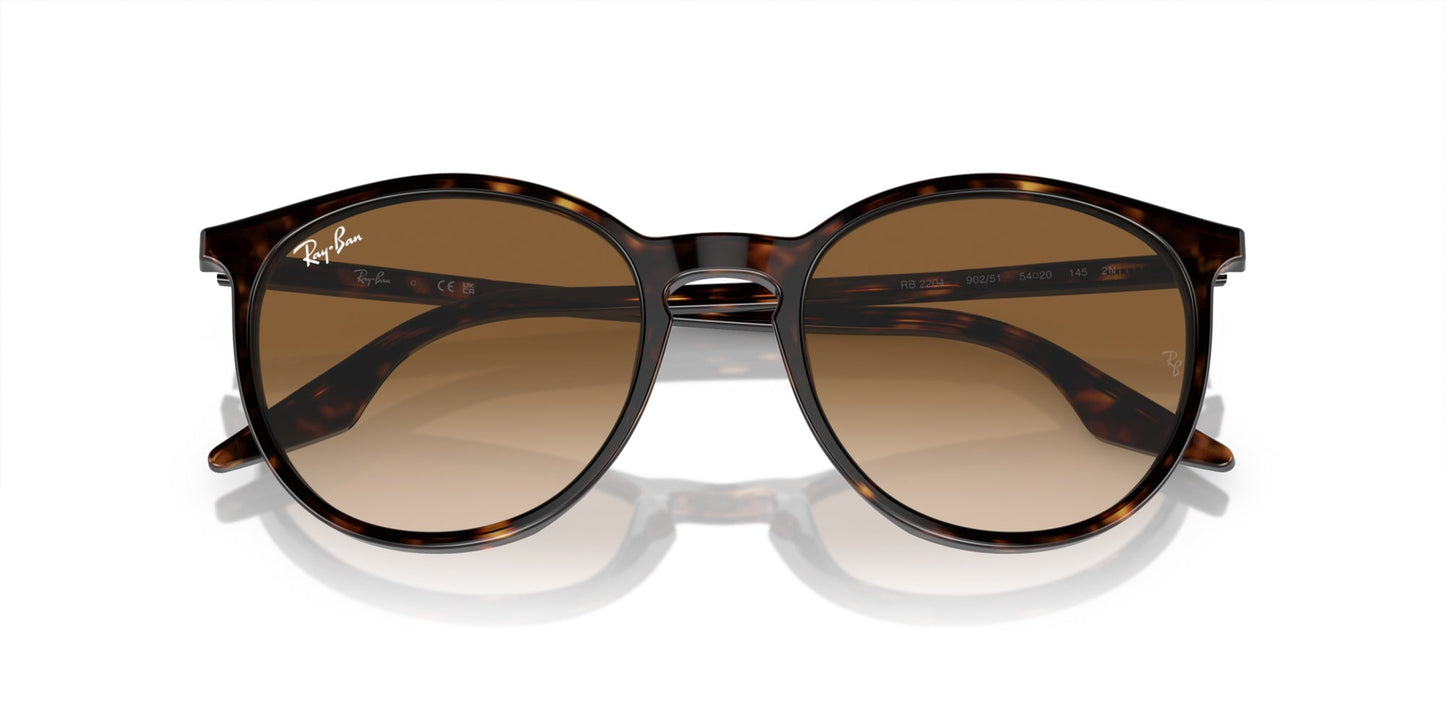 Ray-Ban RB2204