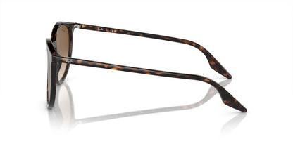 Ray-Ban RB2204