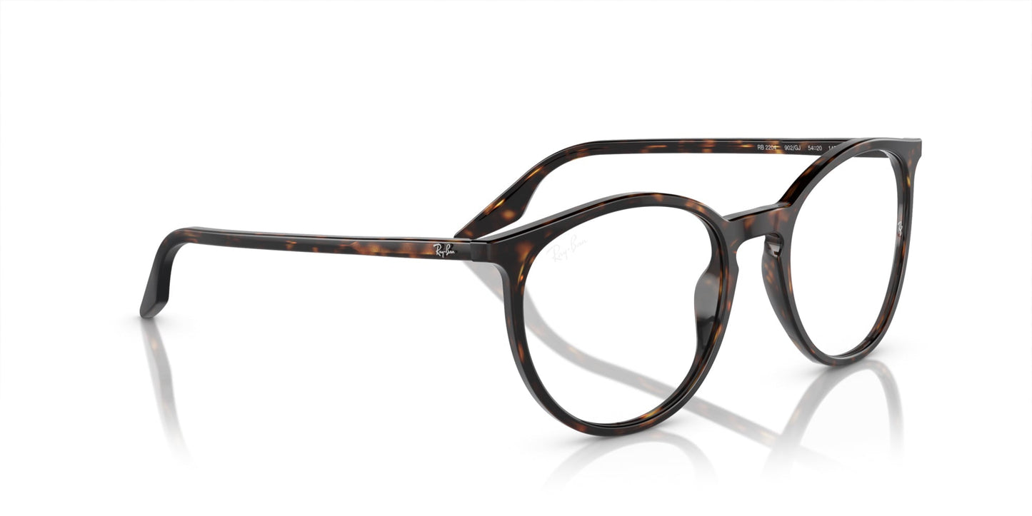 Ray-Ban RB2204