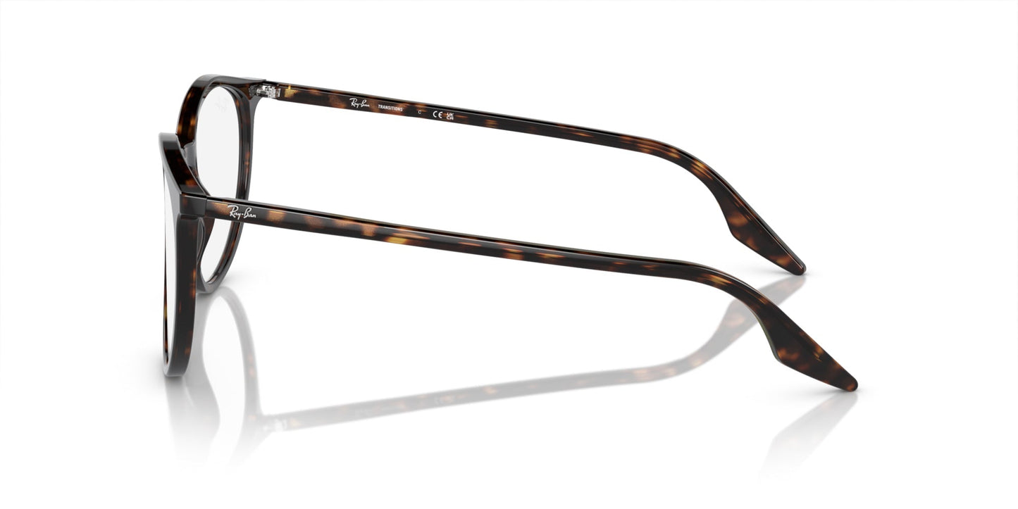 Ray-Ban RB2204
