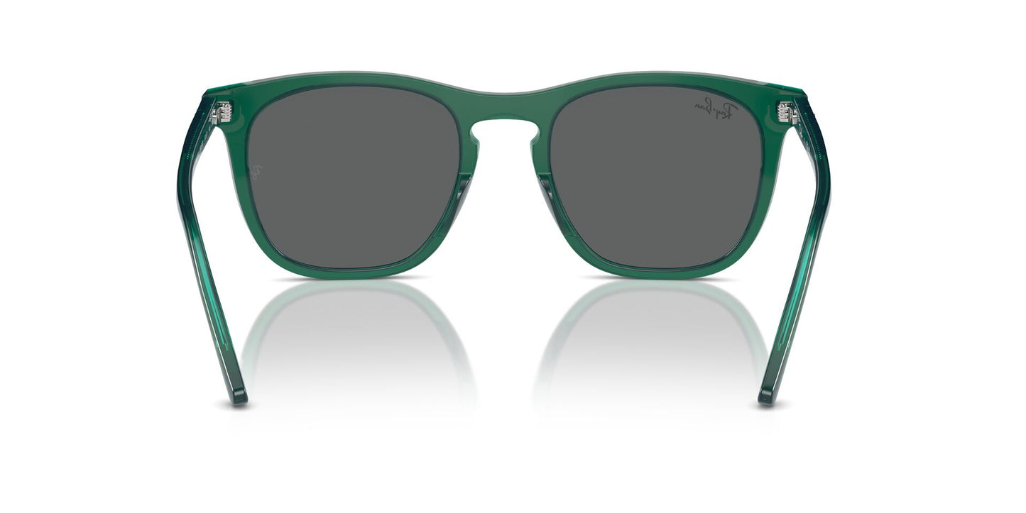 Ray-Ban RB2210