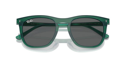 Ray-Ban RB2210