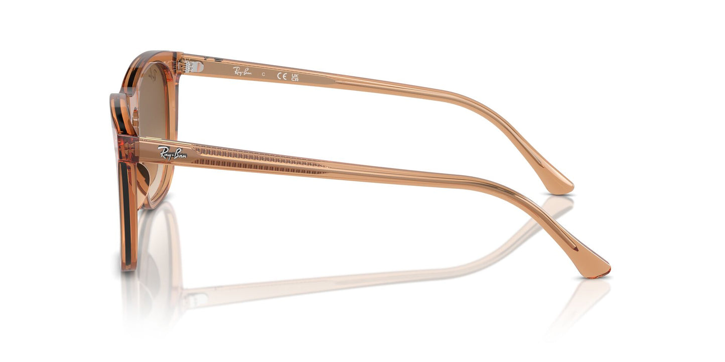 Ray-Ban RB2210