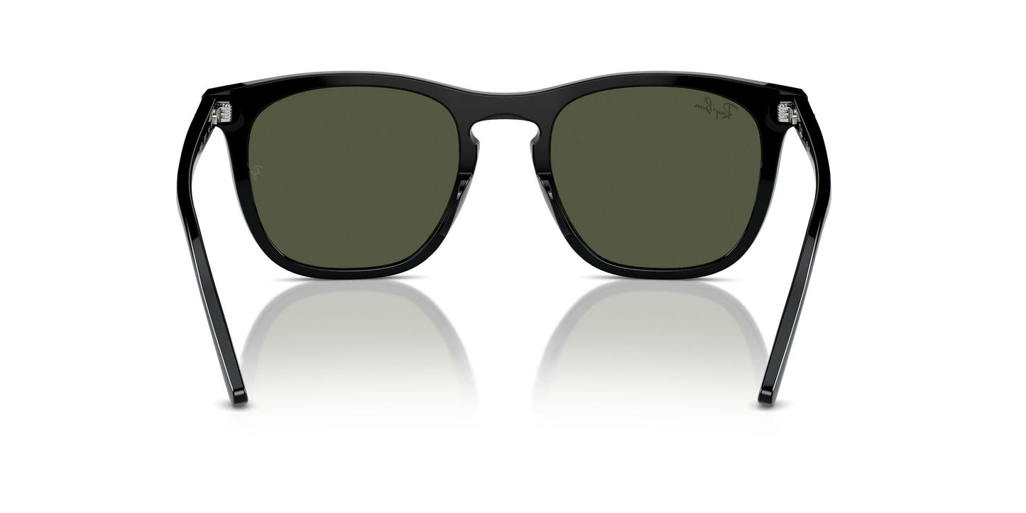 Ray-Ban RB2210