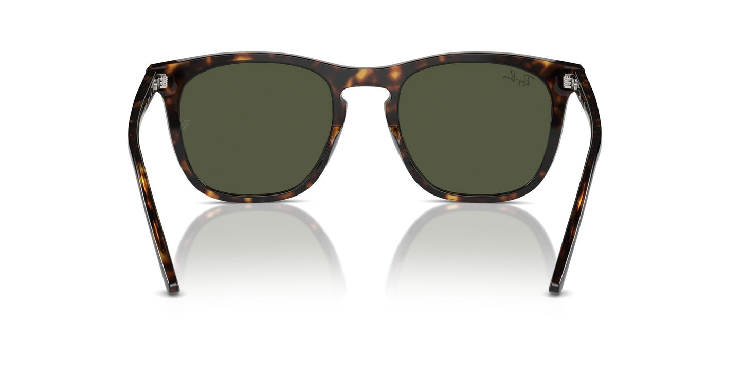 Ray-Ban RB2210
