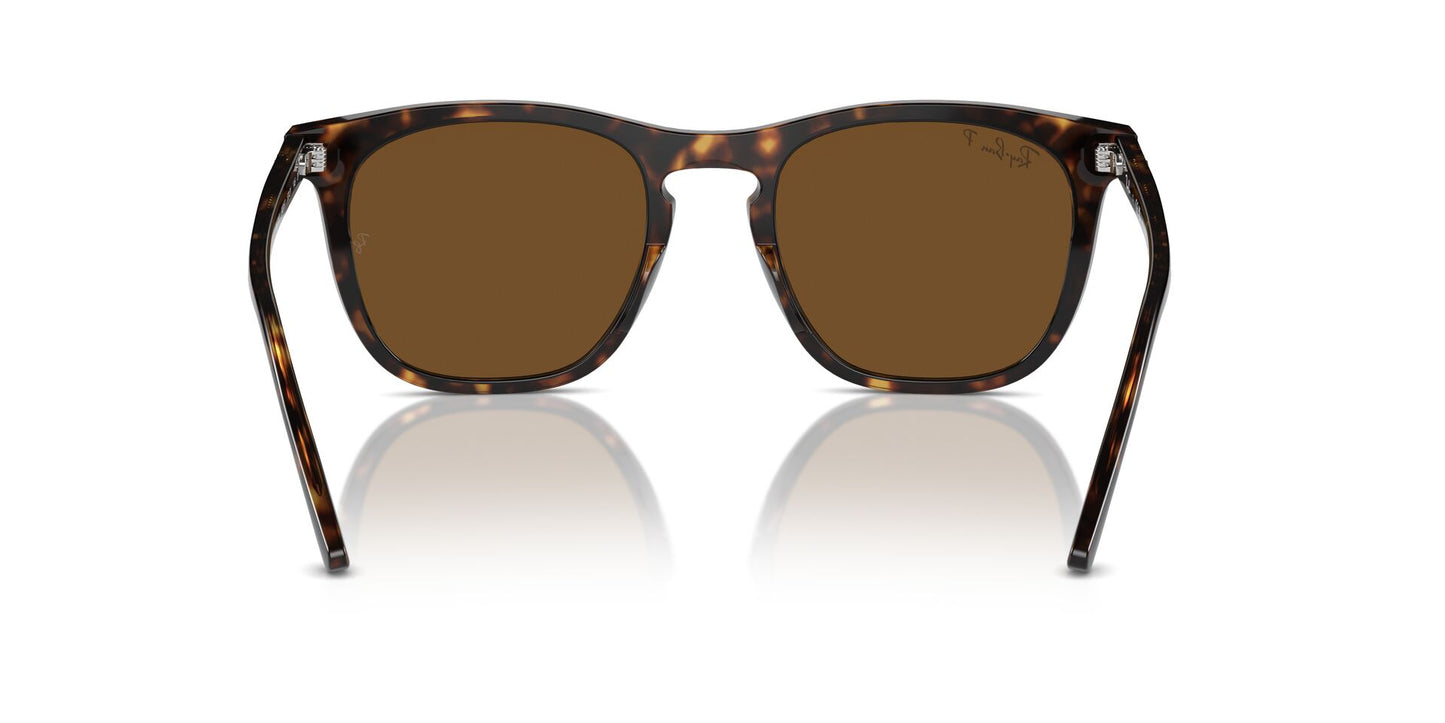 Ray-Ban RB2210