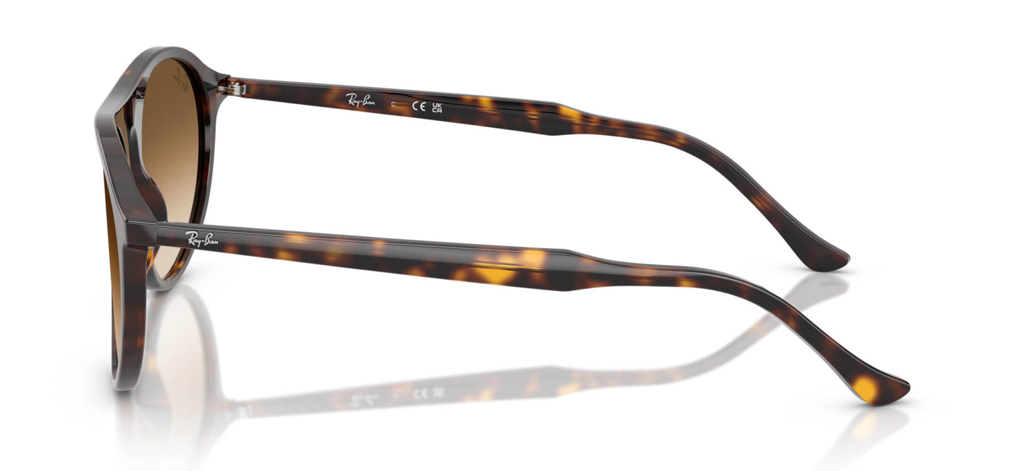 Ray-Ban RB2215
