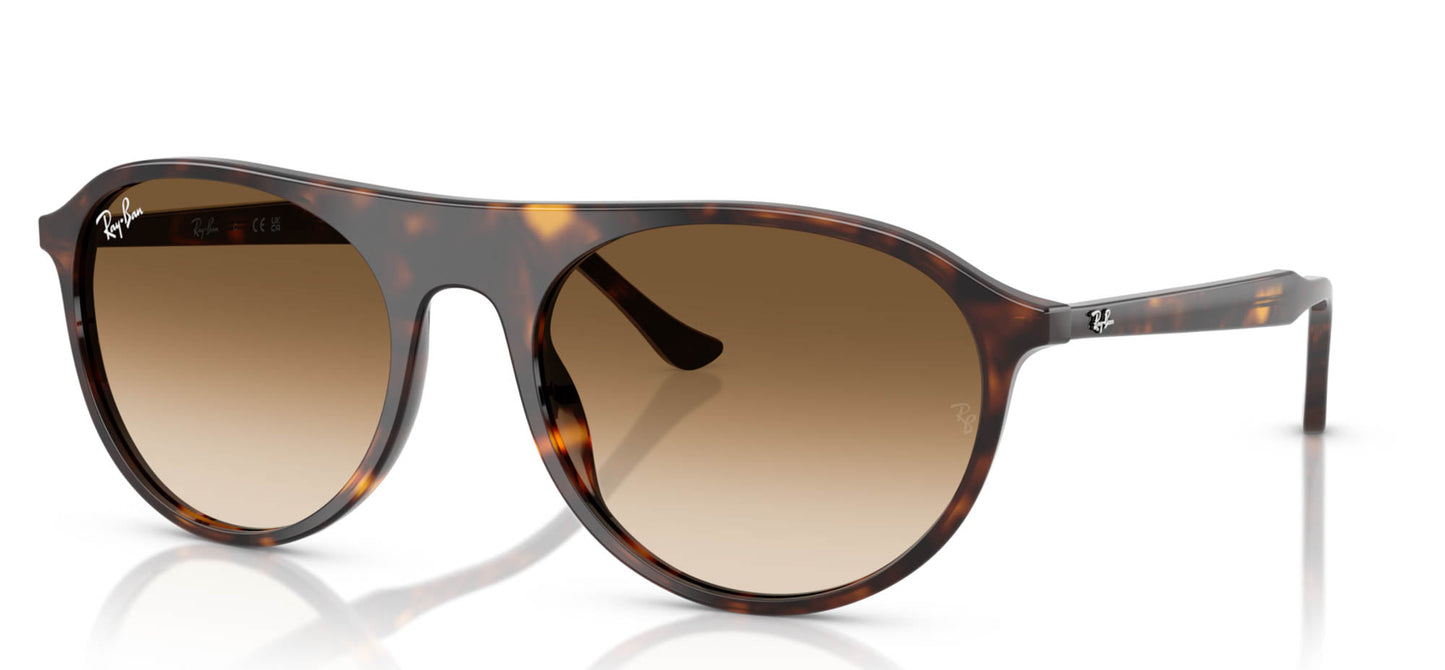 Ray-Ban RB2215#colour_havana-clear-brown-gradient