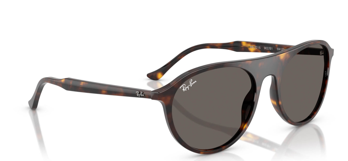 Ray-Ban RB2215