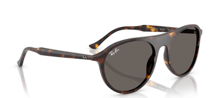 Ray-Ban RB2215