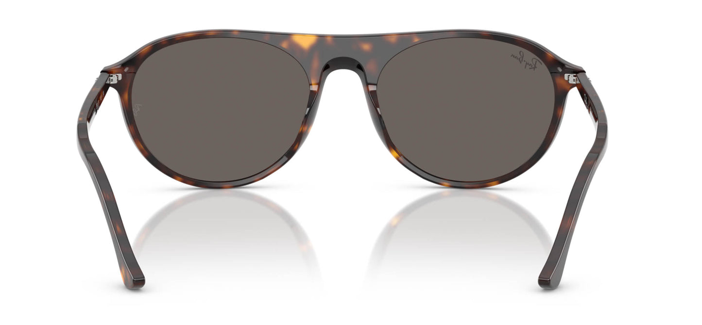 Ray-Ban RB2215