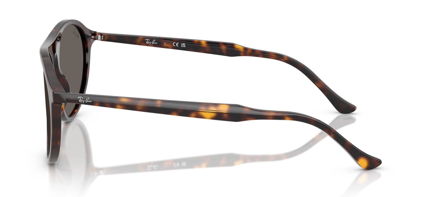 Ray-Ban RB2215