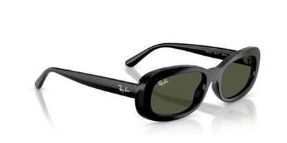 Ray-Ban RB2221