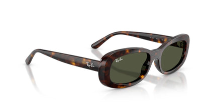 Ray-Ban RB2221