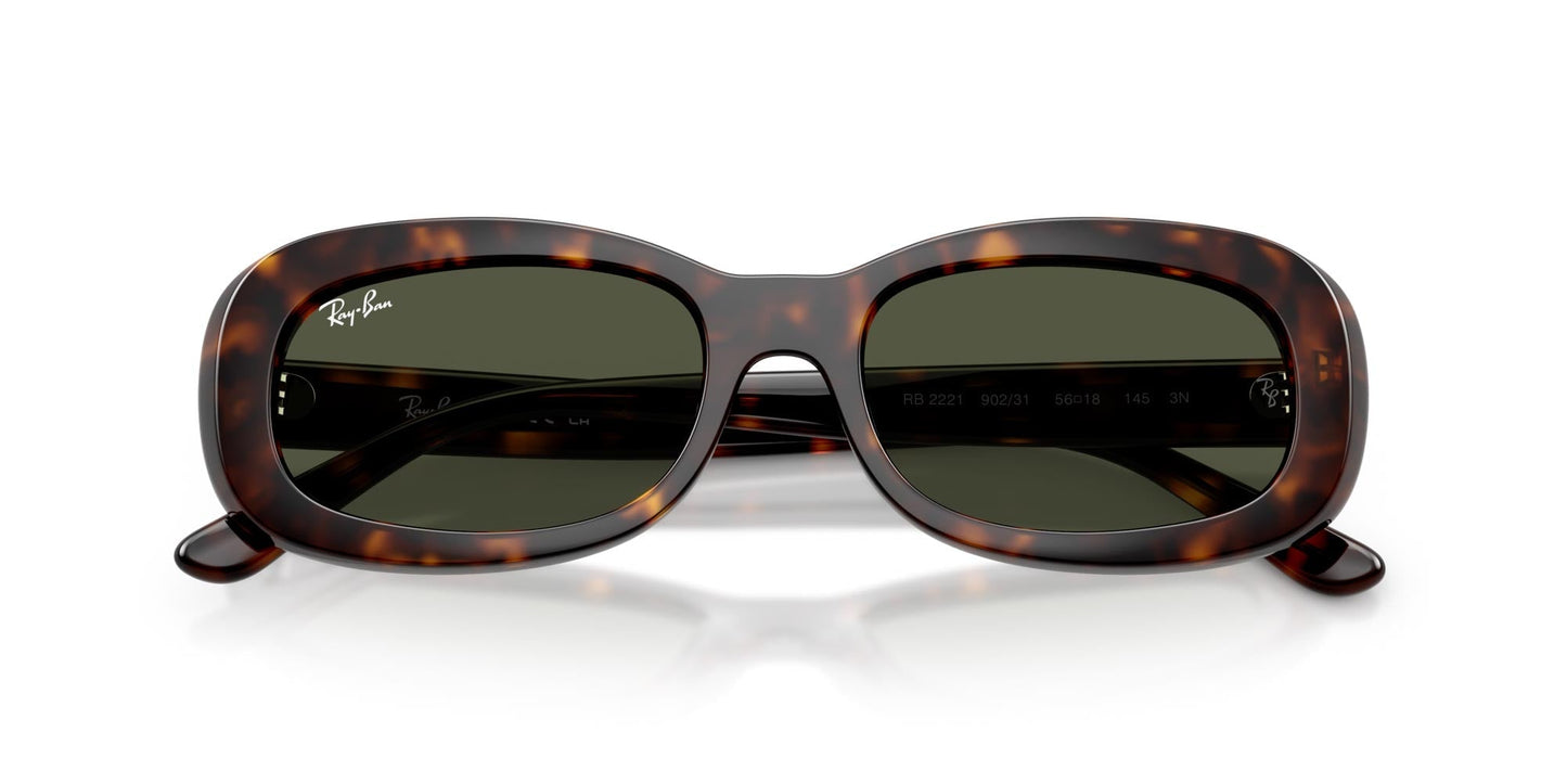 Ray-Ban RB2221