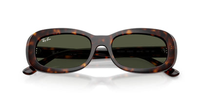 Ray-Ban RB2221