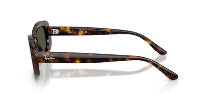 Ray-Ban RB2221