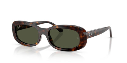 Ray-Ban RB2221 Havana/Green #colour_havana-green
