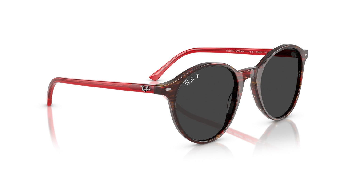 Ray-Ban Bernard RB2230