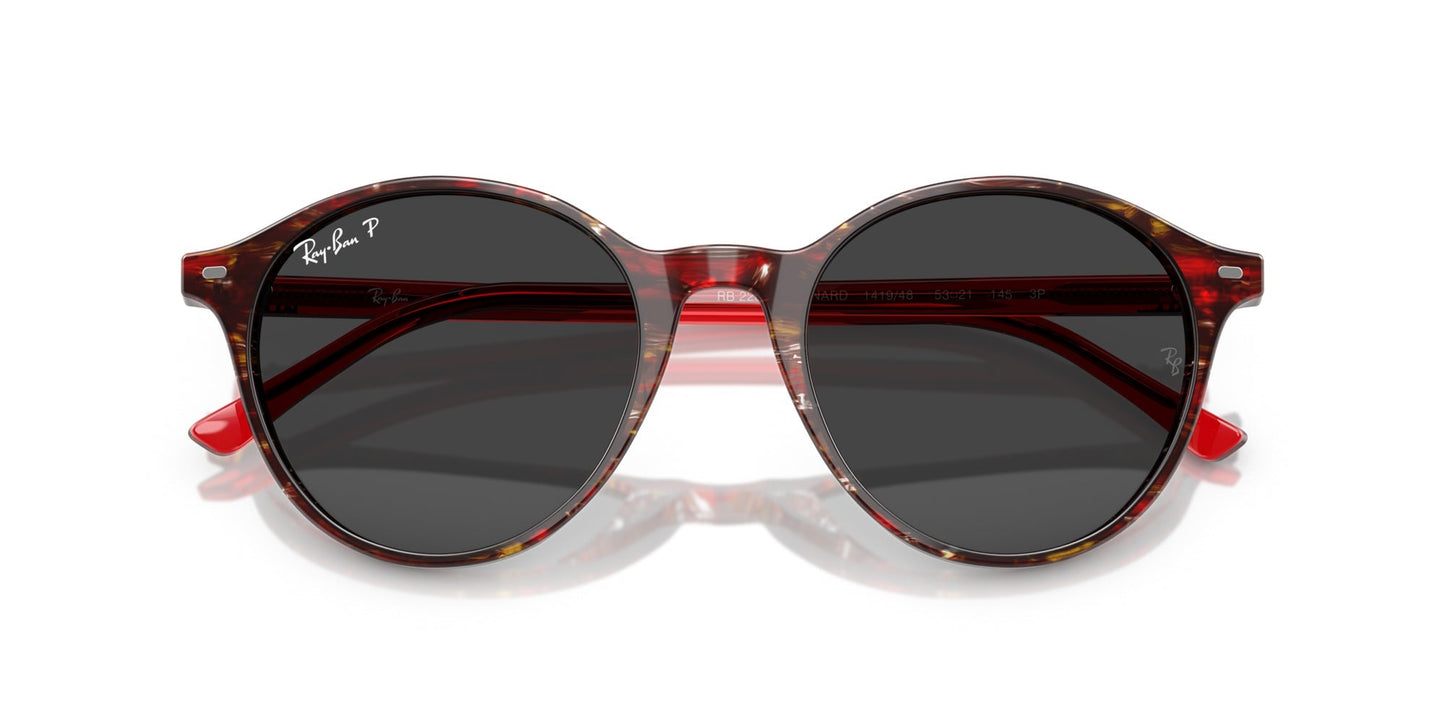 Ray-Ban Bernard RB2230