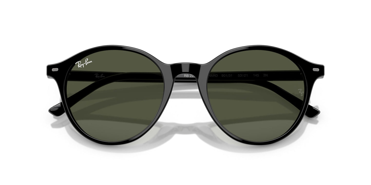 Ray-Ban Bernard RB2230