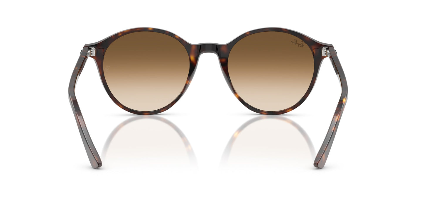 Ray-Ban Bernard RB2230