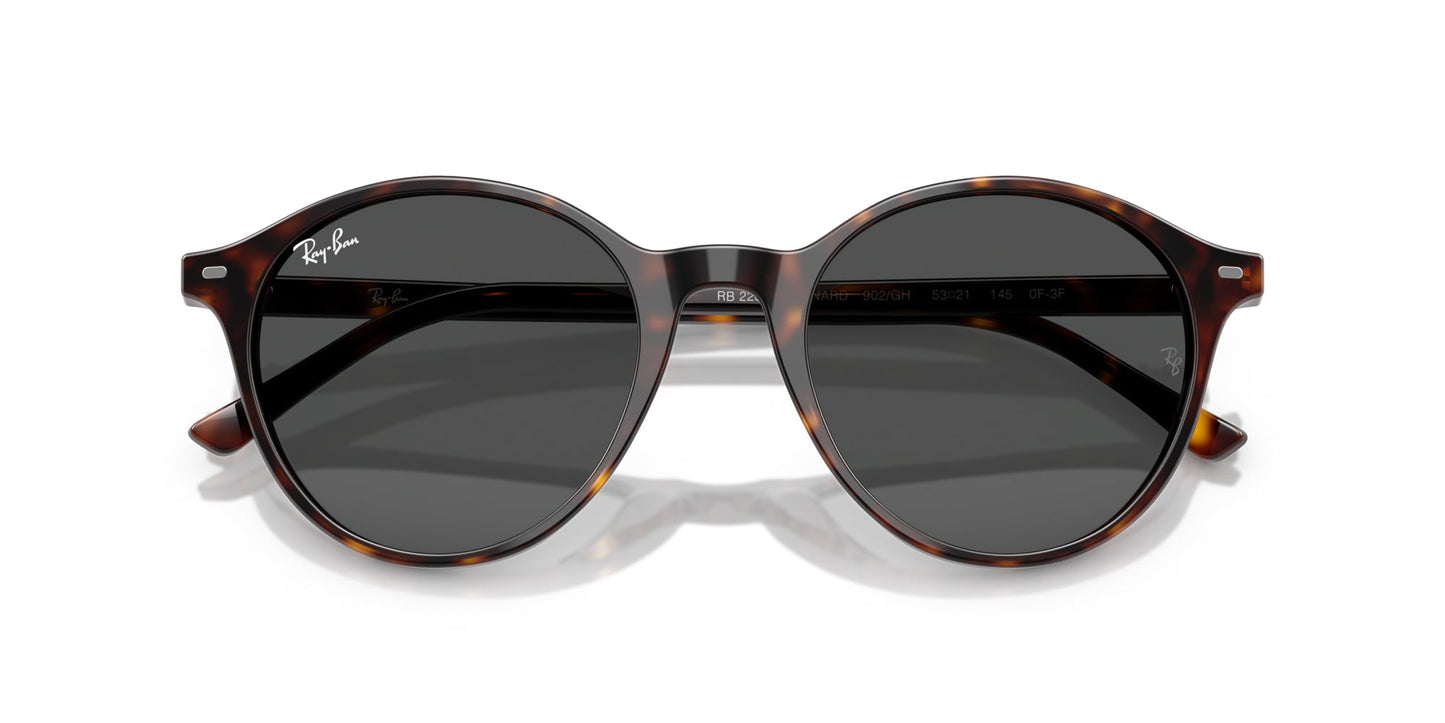 Ray-Ban Bernard RB2230