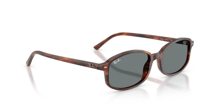 Ray-Ban RB2232