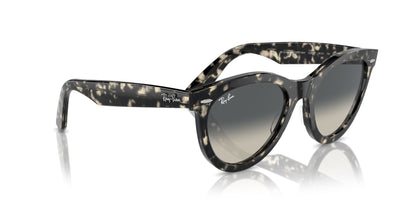 Ray-Ban Wayfarer Way RB2241