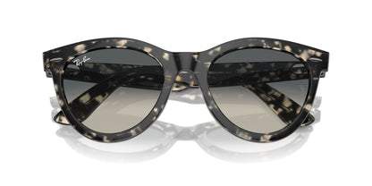 Ray-Ban Wayfarer Way RB2241